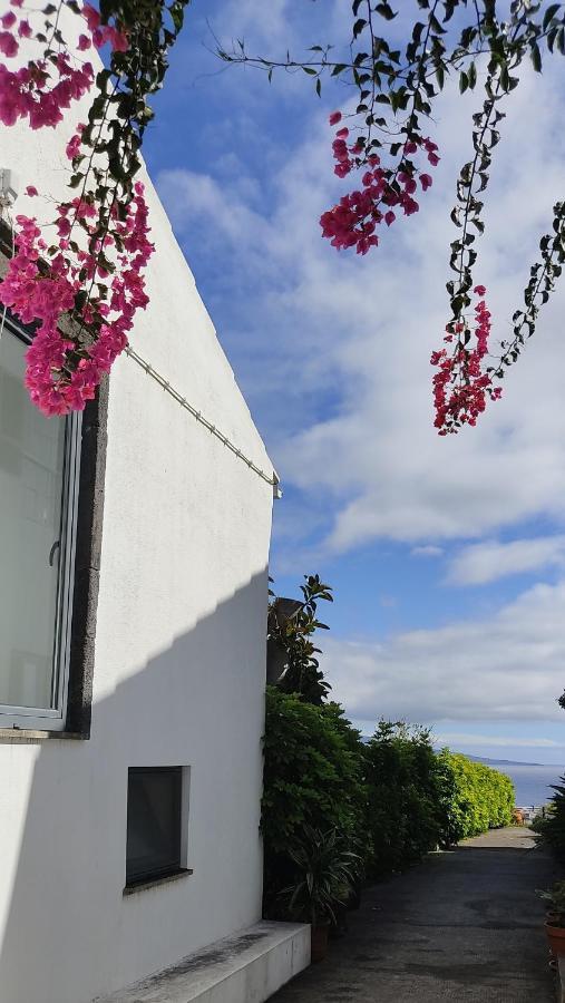 Vila Odette Horta  Exterior foto